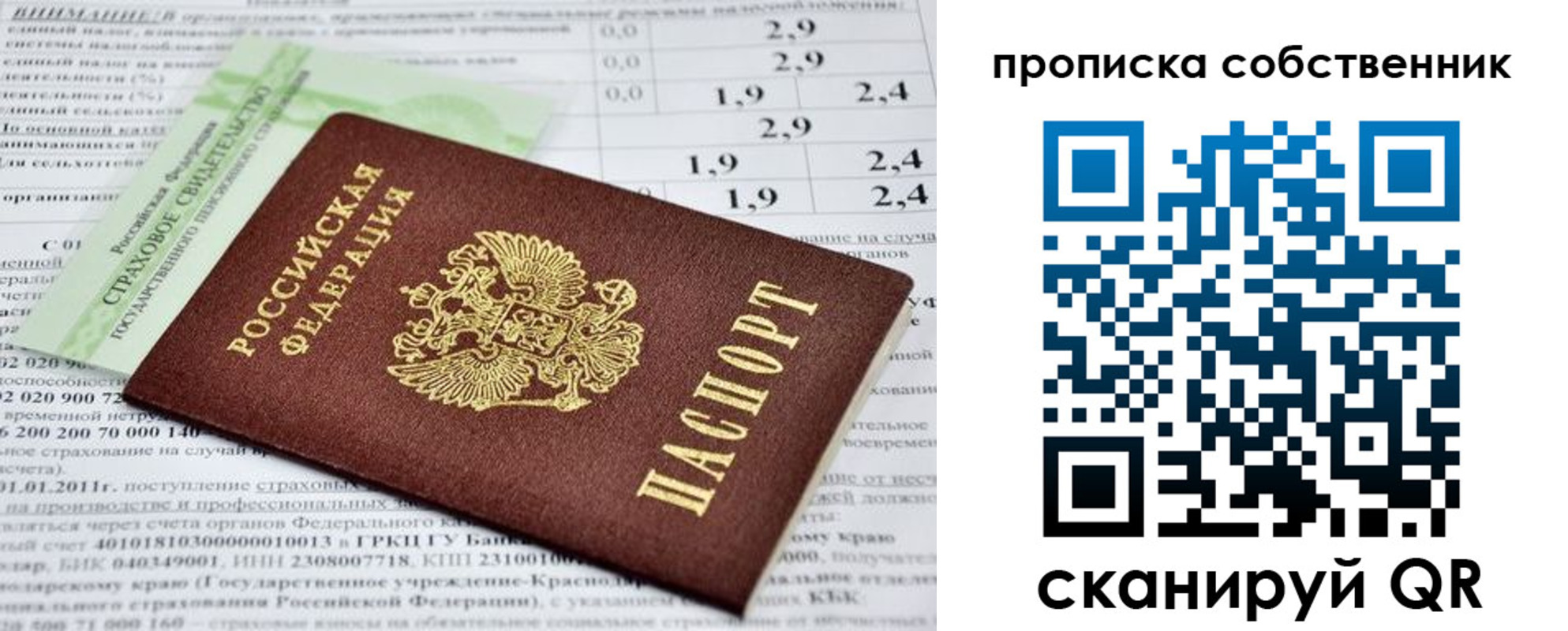 прописка 2025 в Петушках